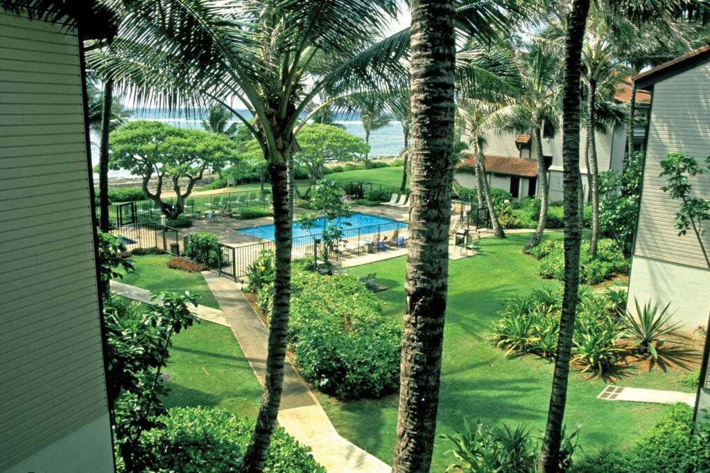1Br Condo At Oceanfront Resort Kapaa Shore 카파 외부 사진